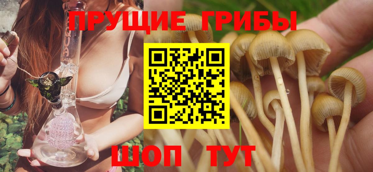 Псилоцибиновые грибы мицелий  Галлюциногенные грибы ЛСД  где найти наркотики  Вход с VPN  Владикавказ 