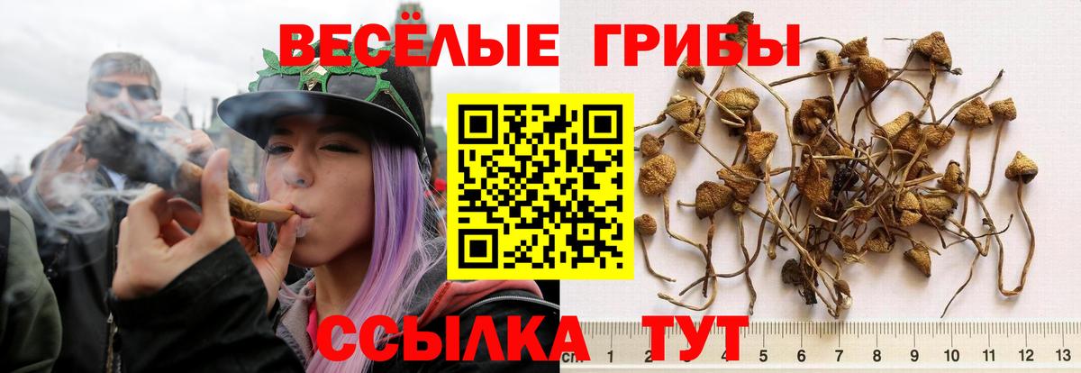 Галлюциногенные грибы MAGIC MUSHROOMS Владикавказ
